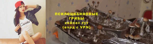 СК Волоколамск